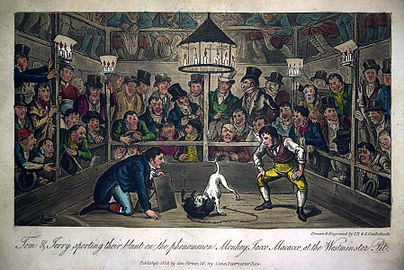 Jacco Macacco at the Westminster-Pit 1821