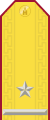 Parade uniform shoulder board (Major)