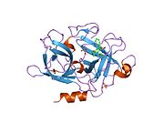 1sc8: Urokinase Plasminogen Activator B-Chain-J435 Complex