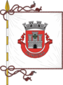 Fronteira (Vila mit einfarbiger Flagge)