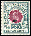 Natal, 1902: Specimen for a £20 stamp