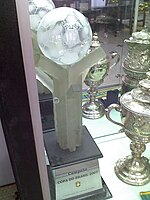 Pokal von Brasilien 2007