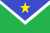 Flag of Vitória do Jari
