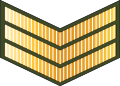 Sarjan (Royal Brunei Land Force)[34]