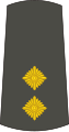 Поручник Poručnik (Serbian Army)[7]