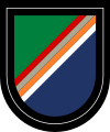 Current 75th Ranger Regiment Beret Flash