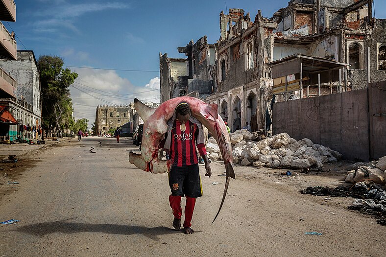 Photograph of Somali man in sports clothes walking past ruins of a house while carrying a bloody hammerhead shark on his neck