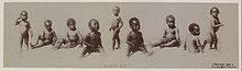 Nine dark-skinned African-American children, all naked, several with exposed male genitalia, all appearing to be toddlers between ages one and three, sit or stand in a variety of body positions; original caption reads Alligator bait with a copyright notice by McCrary & Branson of Knoxville, Tennessee dated 1897