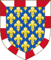 Bordure compony argent and gules (House of Valois-Burgundy)