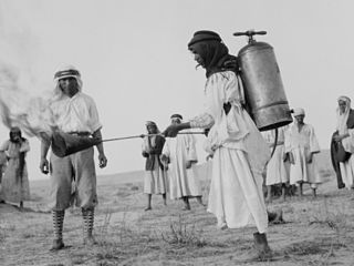 Preparing to flame locusts in Palestine, 1915