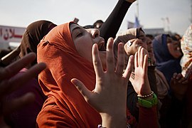 Demonstranten fordern die Muslimbruderschaft auf, die Regierung zu verlassen[316]