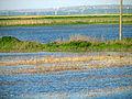 An agricultural field being flooded