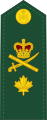 Brigadier-general (French: Général de brigade) (Canadian Army)[17]