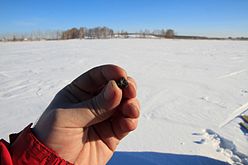 Researcher holds a sample found at Chebarkul lake