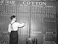 Cotton broker's office, November, 1939.