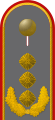 Dienstgradabzeichen eines Generalleutnants auf dem Schulterstück der Jacke des Dienstanzuges für Heeresuniformträger