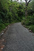 Paved road for climbing up to Cerro de Punta