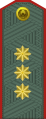 General-polkovnik (Uzbek Ground Forces)[16]