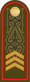 Cержант Serjant (Kazakh Ground Forces)[51]