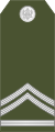 Vodnik 1 klase (Montenegrin Ground Army)[5]