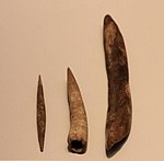 Aurignacian Culture bone tools (needle, points and tools for punching holes), Hayonim Cave, 30000 BP.