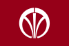Flag of Iizuka