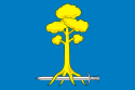 Flag of Sertolovo