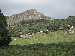Gogogo, the highest peak of the Gorongosa mountain complex