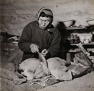 An Inuk making kamiit from sealskin, in an igloo (iglu) in Inukjuak, Quebec, Canada, January 1946