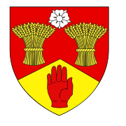 County Derry (Londonderry)