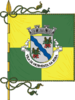 Flag of Moimenta da Beira
