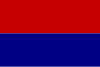Flag of Carei