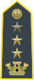 Lieutenant-Colonel, acting Colonel (Senior Lieutenant Colonel)