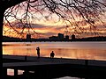 Sonnenuntergang am Charles River
