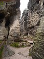 Tyssaer Wände: Schlucht in den kreidezeitlichen Sandsteinen des Elbsandsteingebirges