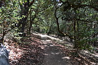 A trail in the park