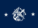 Flag of the Deputy Surgeon General of the United States (Rear admiral)