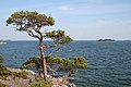 Rocky islets of the outer archipelago in Gullkrona