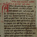 Image 66Opening lines of one of the Mabinogi myths from the Red Book of Hergest (written pre-13c, incorporating pre-Roman myths of Celtic gods): Gereint vab Erbin. Arthur a deuodes dala llys yg Caerllion ar Wysc... (Geraint the son of Erbin. Arthur was accustomed to hold his Court at Caerlleon upon Usk...) (from Myth)