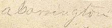 Signature of Albert Carrington