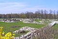 The palace ruins near Petronell