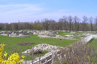 Überreste der Forumstherme („Palastruine“)