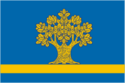Flag of Dubovka