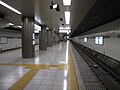 Island platform for Keio New Line and Toei Shinjuku Line, 2010