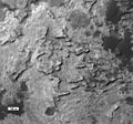 "Murray Buttes" knobs - Aeolis Mons slopes (November 13, 2013).[10]