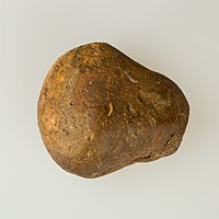 Pounder, Neolithic Period, Buto–Merimda–Maadi, circa 4500 –4000 BC. Western Delta, Egypt.