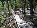Boardwalks help walkers navigate difficult terrain as at Pyhä-Luosto National Park in Lapland, Finland.