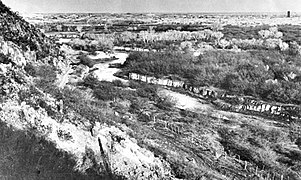 View of the Santa Cruz from "A" Mountain in 1904. Notice the riparian gallery forest, which has since become extinct.