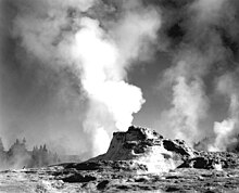 A geyser in Yellowstone