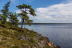 Lake Ozhogino, Abyysky District